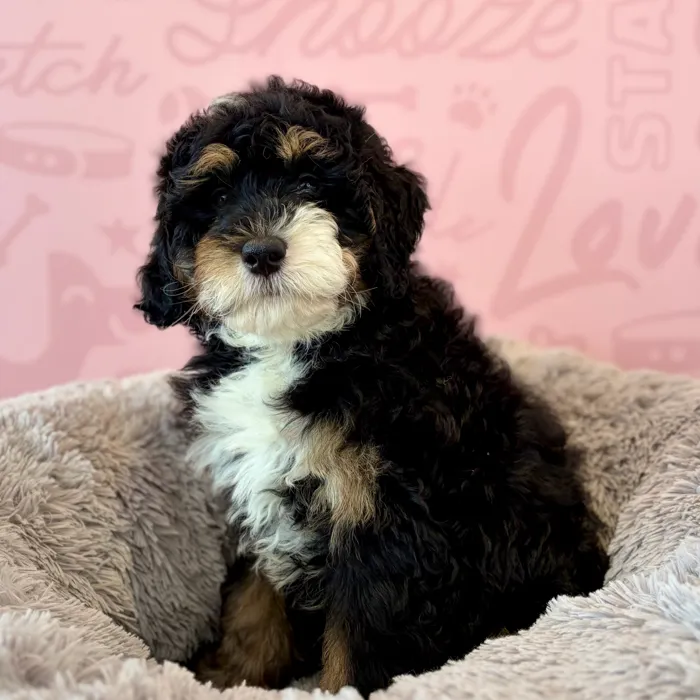 image_cropper_F022CA99-94F8-4492-9A39-C5930C73F3BB-12851-00000119AE4A9BE3.jpg image